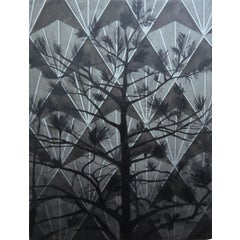 Silver Pine 9
