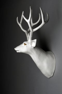 Balance - Deer A