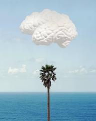 Brain Cloud (With Seascape and Palm Tree)