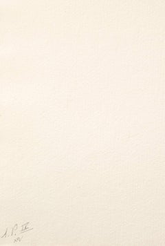 Pick-Axe Superimposed on a Drawing of a Site by E.L. Grimm