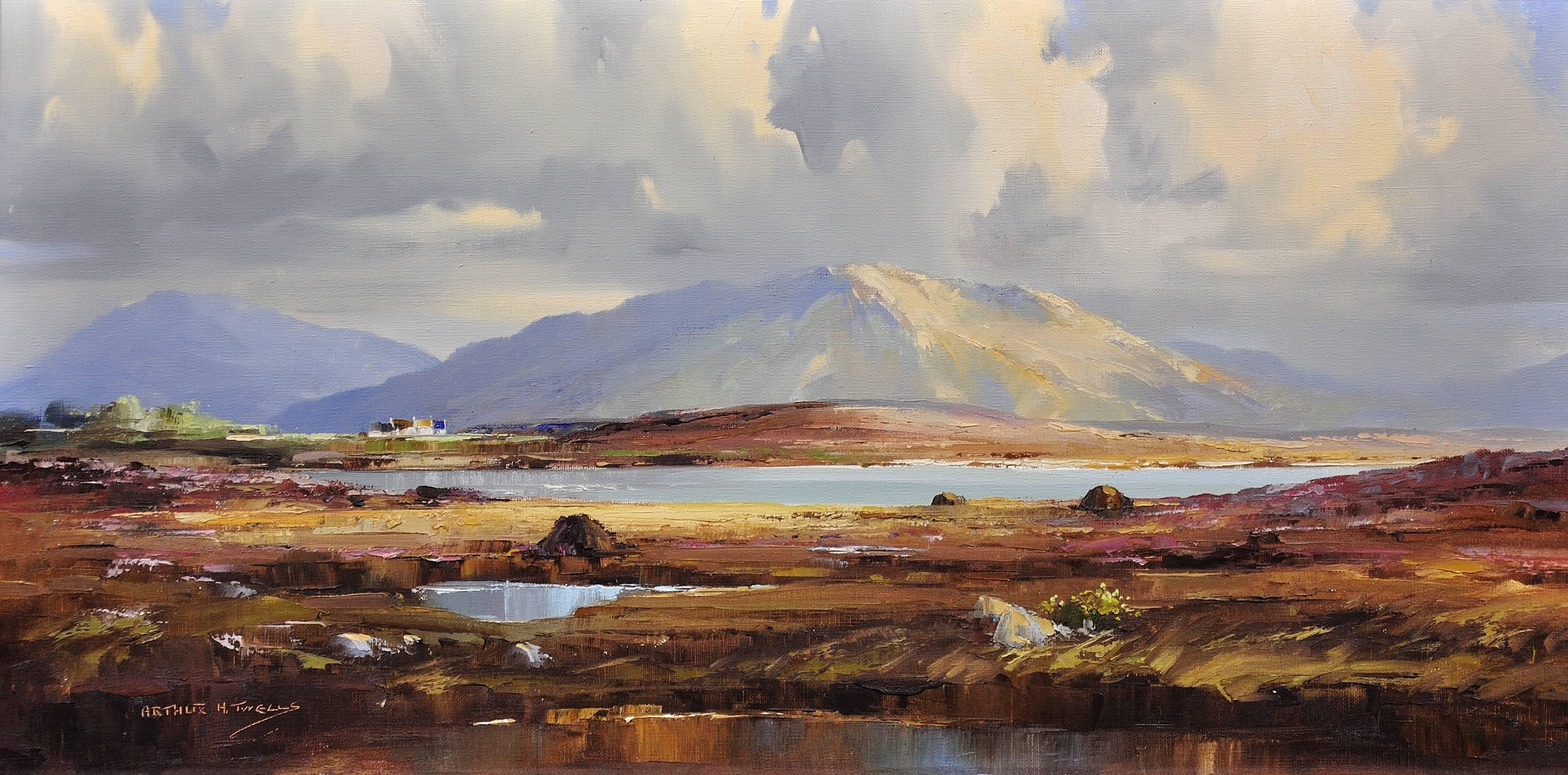 Connemara - Painting de Arthur H. Twells