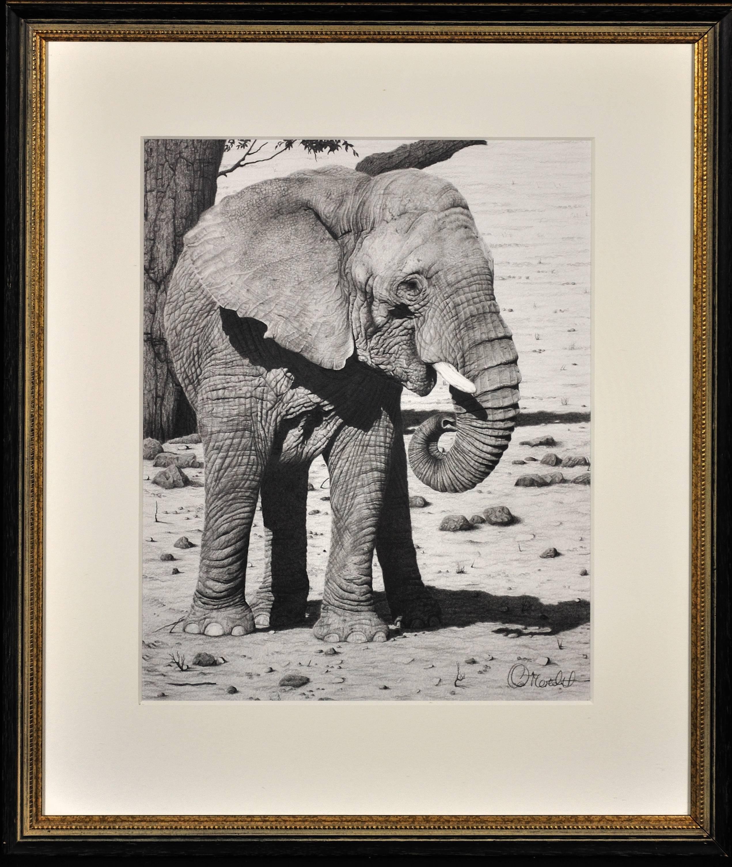 Matriarch – African Elephant - Art by Clive Meredith
