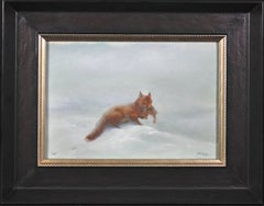 Antique Fox with Leveret amongst snow fields. One of the wildlife greats of all time.