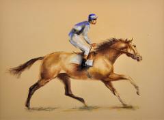Racehorse and jockey