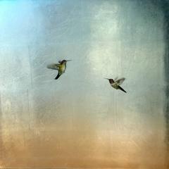 Hummers on the Horizon