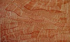 Sandhills by Australian Aboriginal artist Lilly Kelly Napangardi