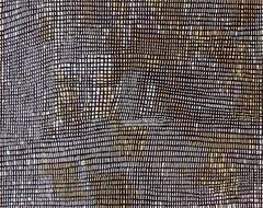 Marrapinti by Australian Aboriginal Artist Lorna Napanangka Ward