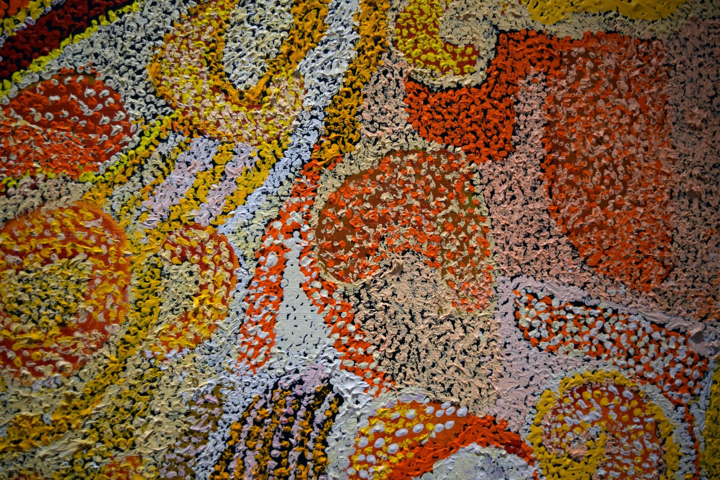 Parwalla by Australian Aboriginal Artist Elizabeth Nyumi Nungurrayi 2