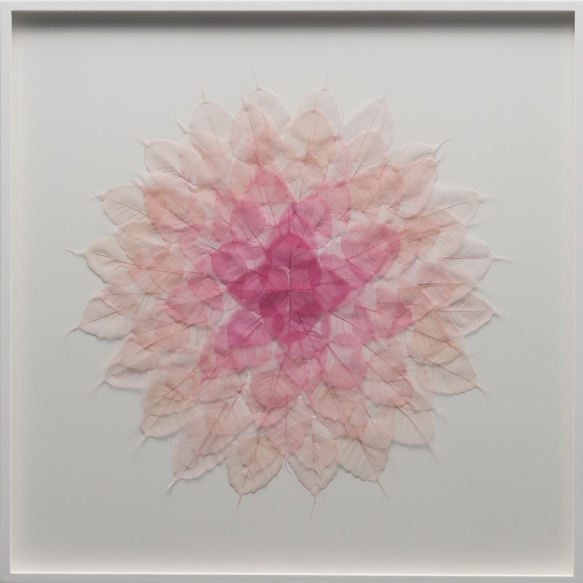 Pink Leaf Mandala - Mixed Media Art by Miya Ando