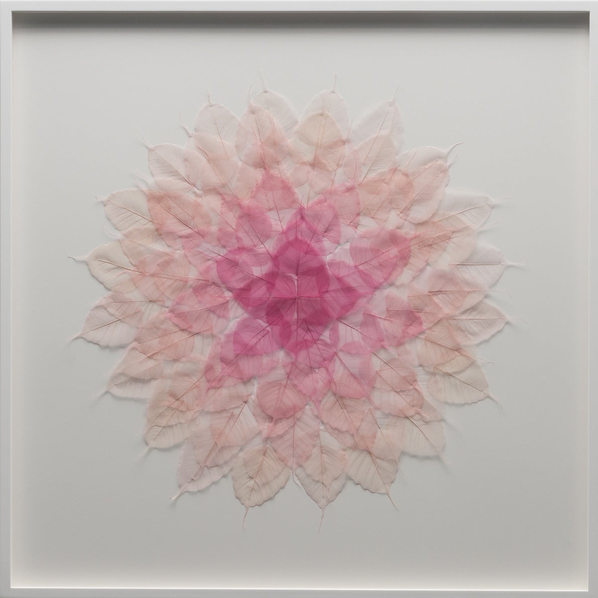 Rosa Blatt Mandala – Mixed Media Art von Miya Ando
