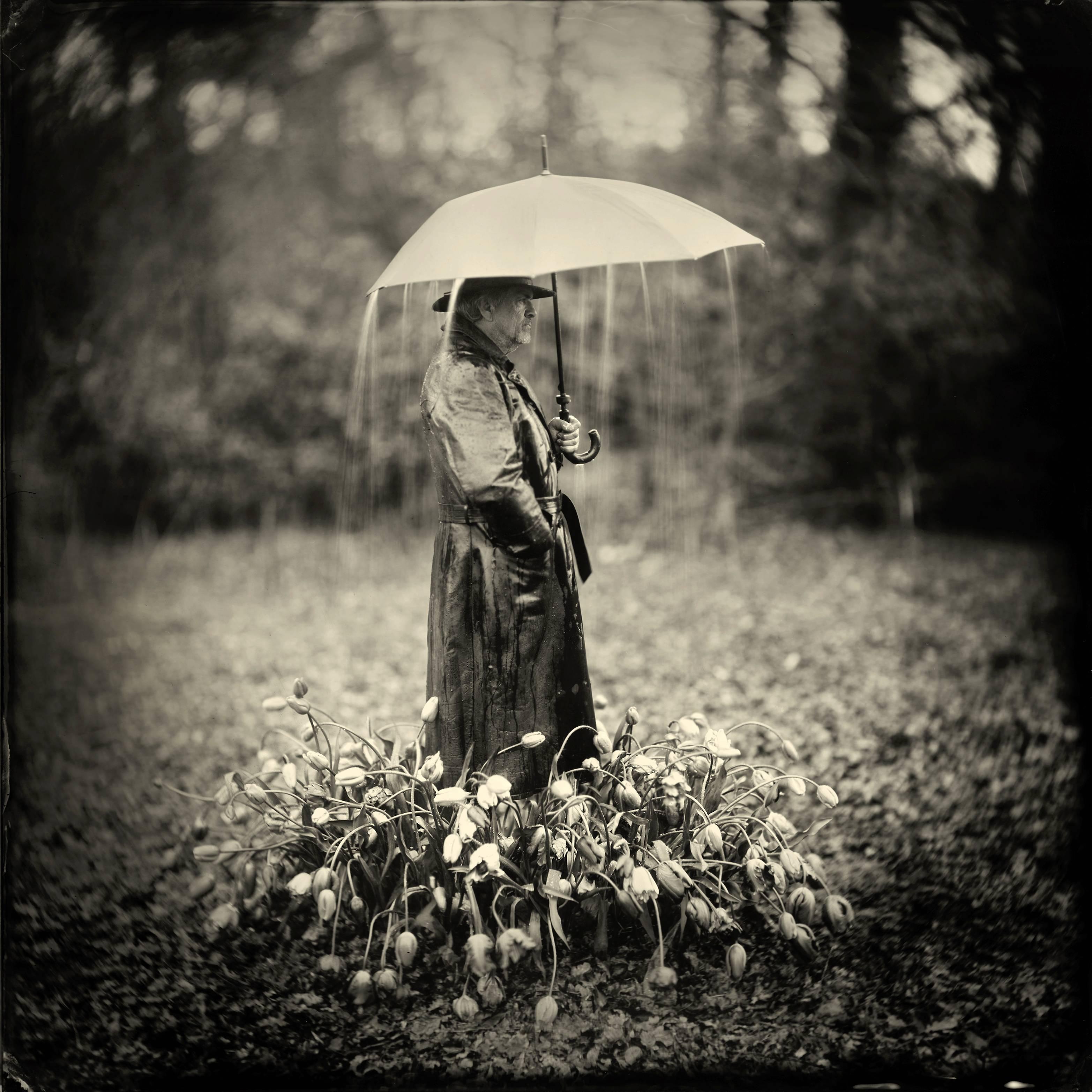Tears for Tulips- 33 x 33 in black and white photography features man in nature