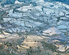 Rice Terraces (Laohuzui I), Yunnan, China