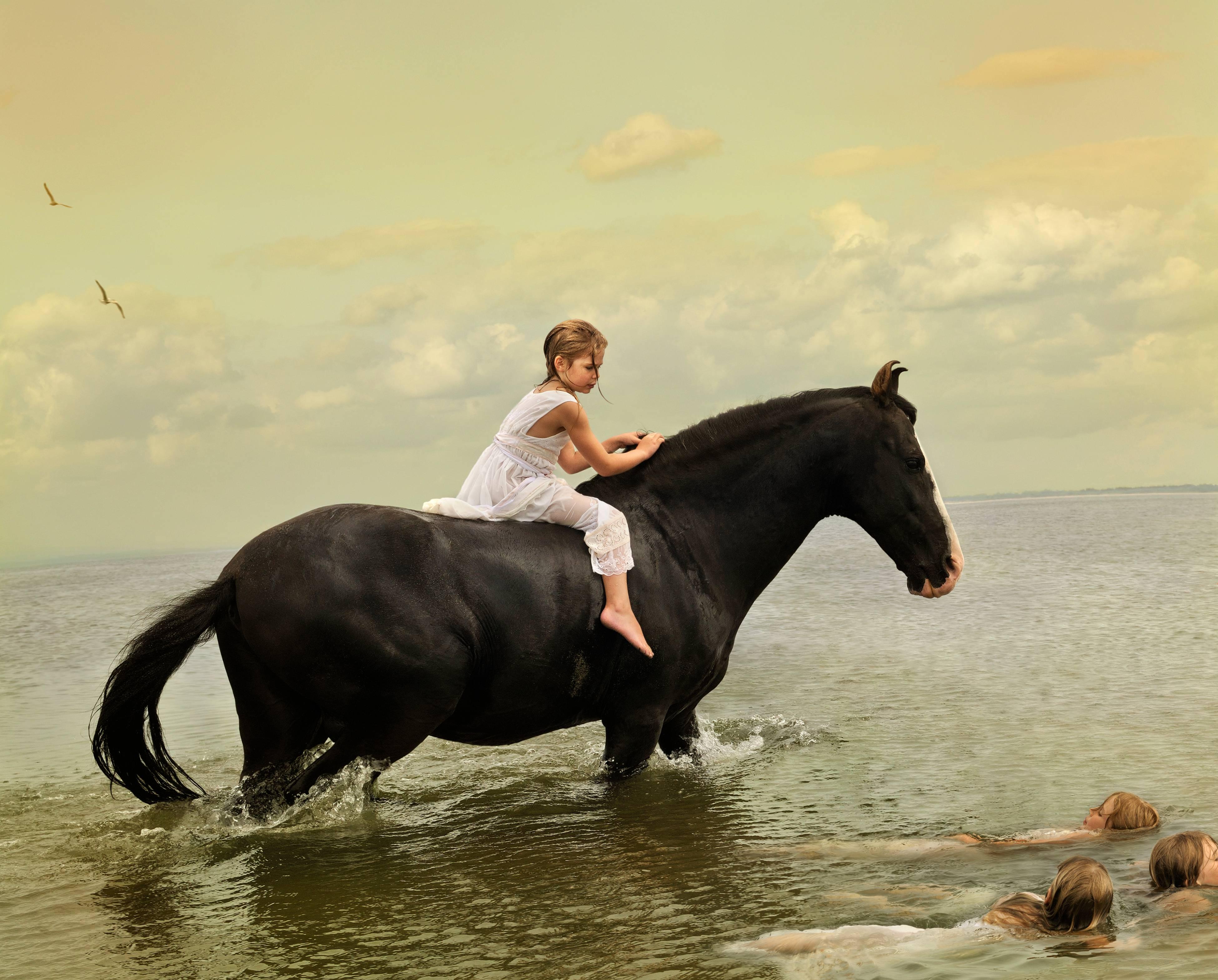 Tom Chambers Color Photograph - Maritime Sentry