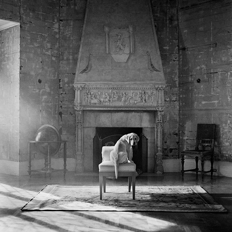 Rodney Smith Black and White Photograph - Tucker on Chair Looking Back