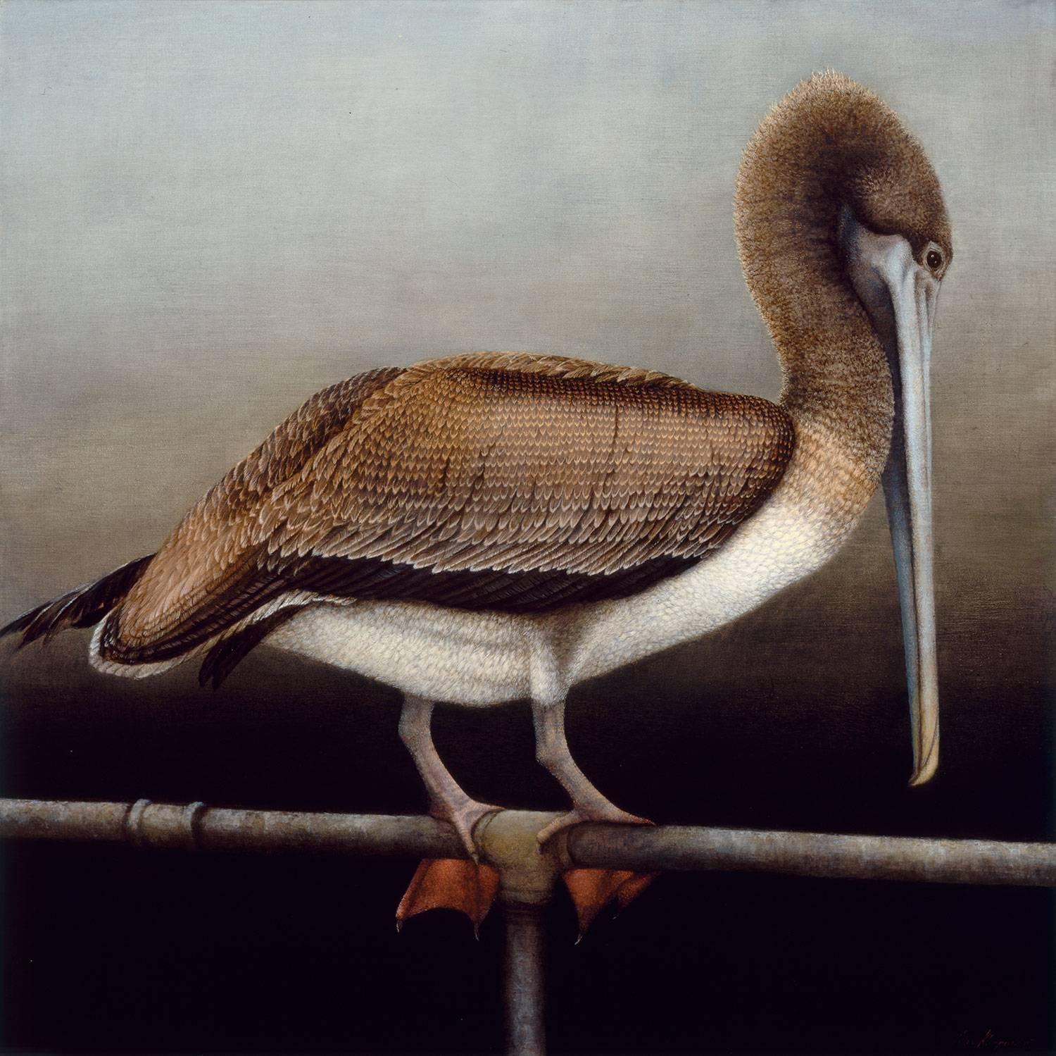 Mari Kloppel Animal Print - Brown Pelican
