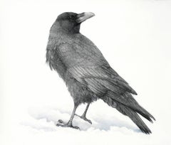 Corbeau