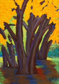 Cottonwoods, Abiqui, New Mexico