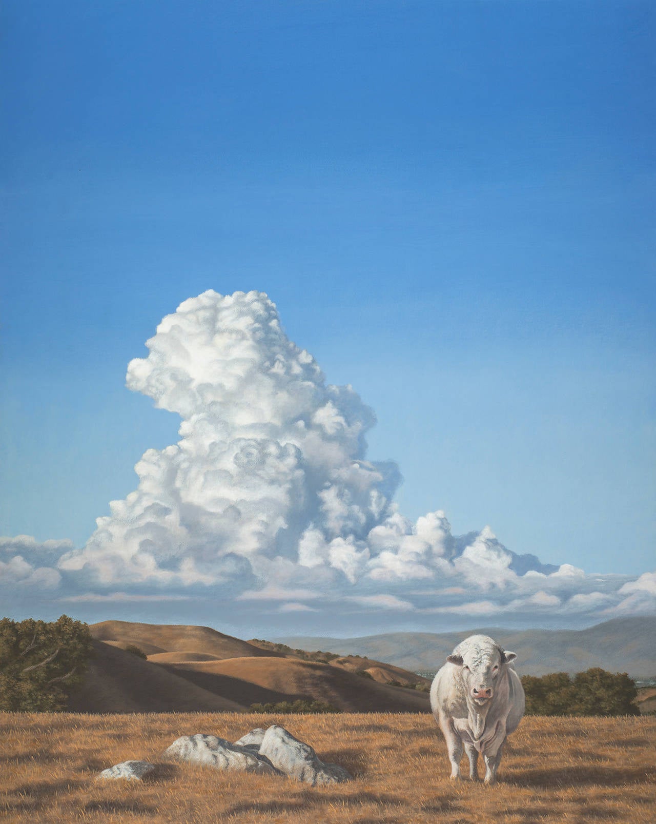 Andrea Johnson Landscape Painting - White Bull