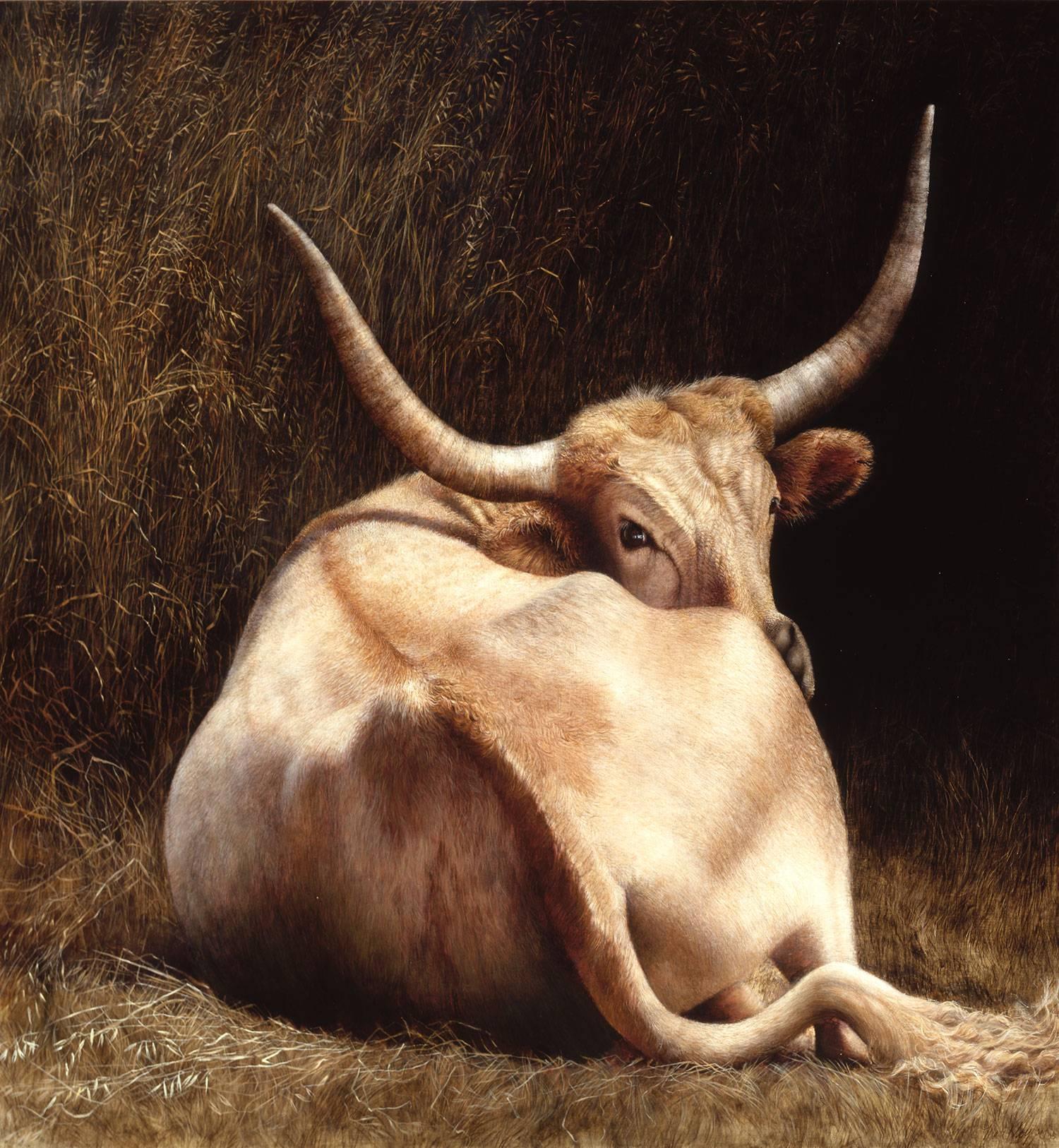 Mari Kloppel Animal Print - Longhorn Steer