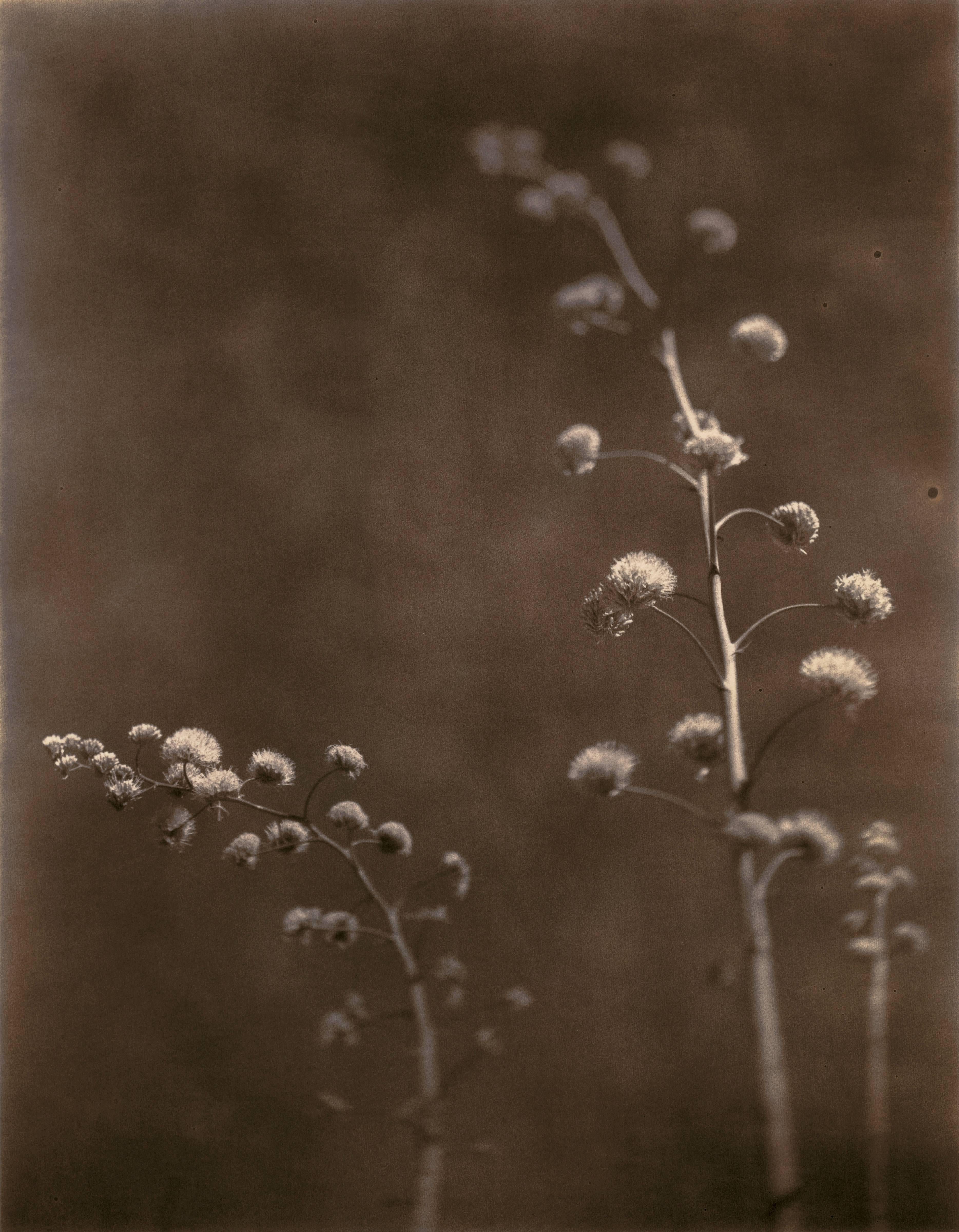 Thomas Brummett Black and White Photograph - Desert 13.4 Ed. 4/25