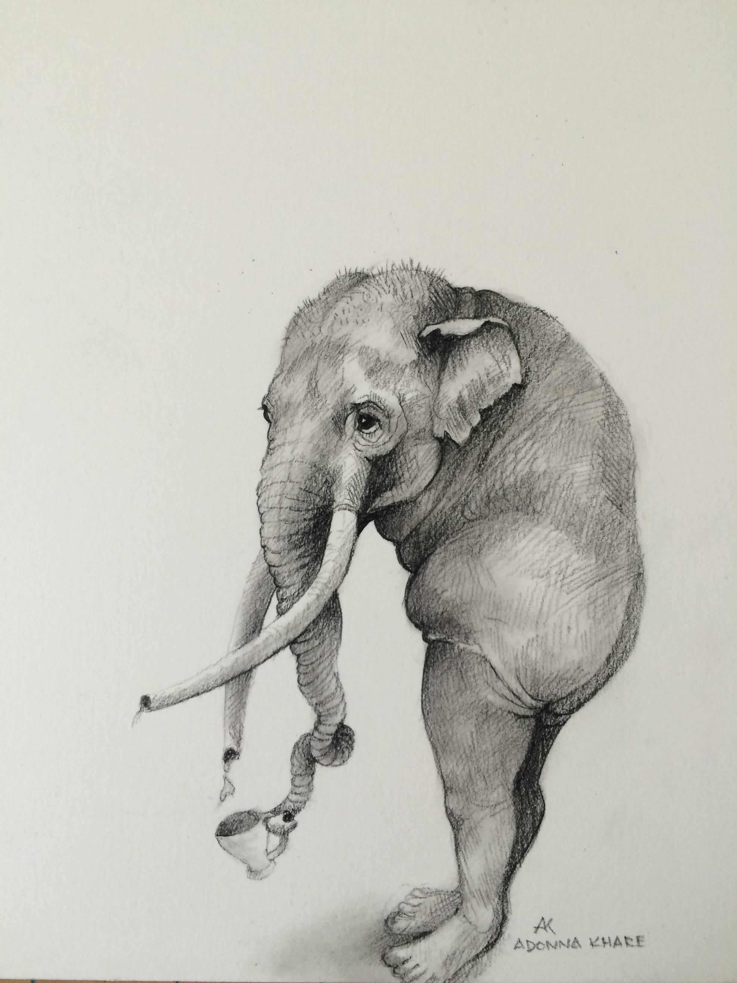 Adonna Khare Animal Art - Elephant With Cup