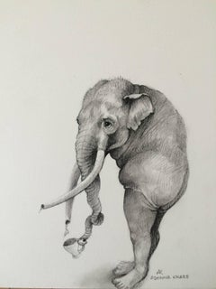 Elephant With Cup