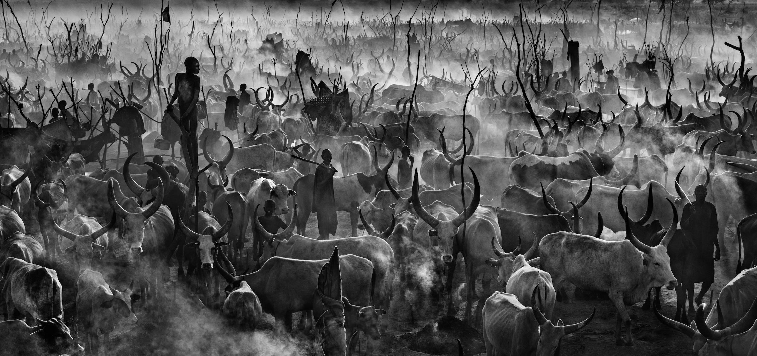 David Yarrow Black and White Photograph - Mankind II #7/12