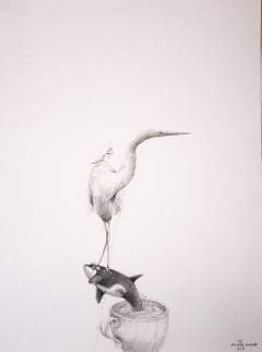 Bird and Whale