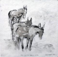 Bob Marshall Mules Dr.# 4