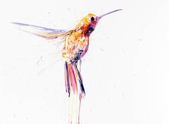 Colibri I Petit Rose #48/50