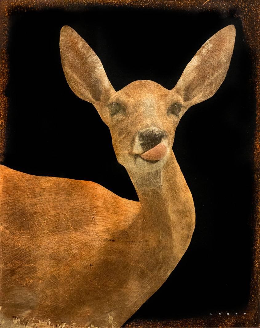 Deer Lick #5/6 - Mixed Media Art by Mike Weber