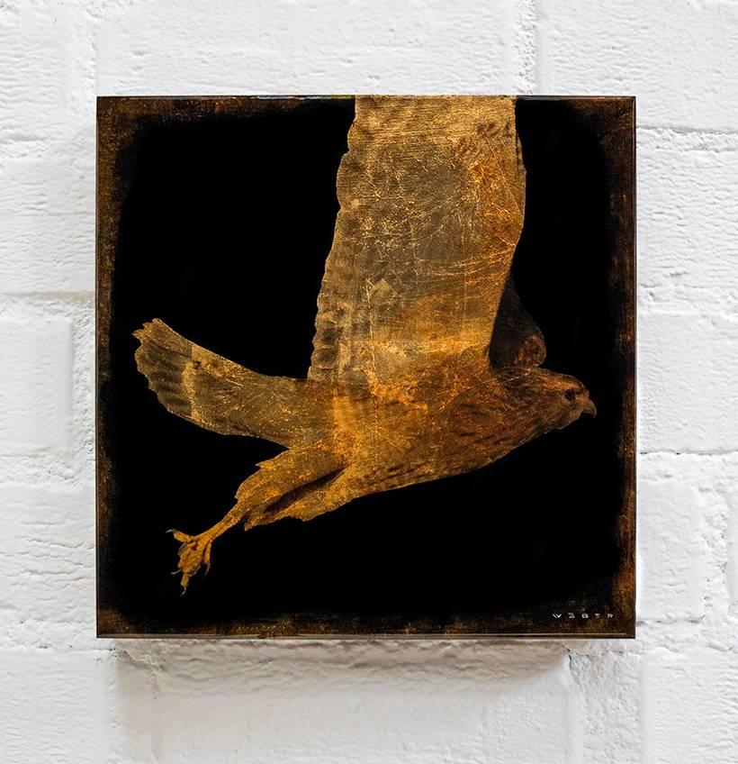 Flying Hawk #1/6 - Mixed Media Art by Mike Weber