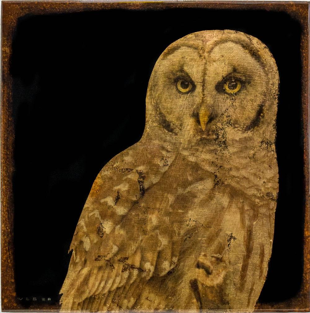 Owl #6/6 - Mixed Media Art by Mike Weber