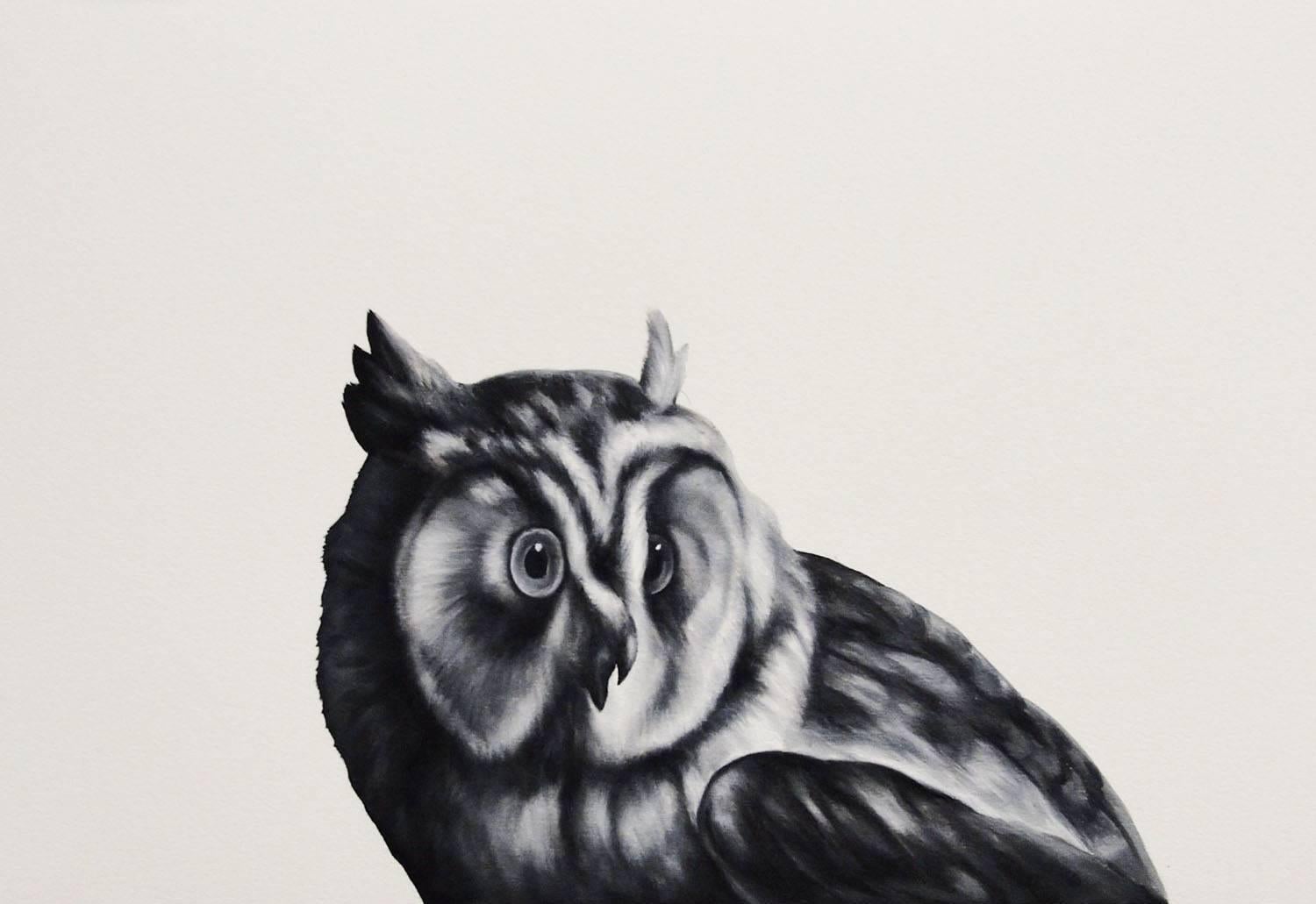 Shelley Reed Animal Painting - Owl (After Duranti)