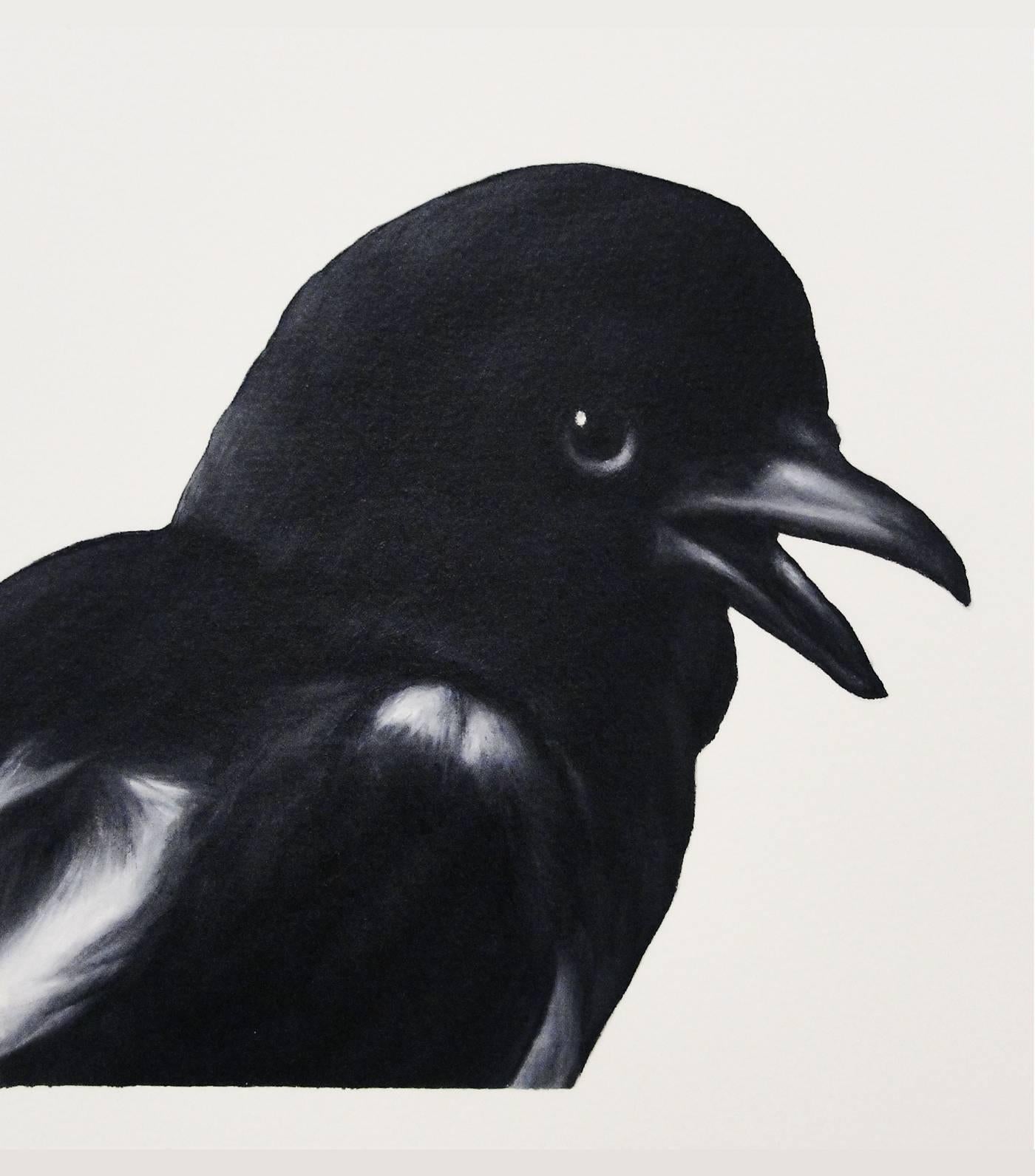 Shelley Reed Animal Painting - Magpie (after Hondecoeter)
