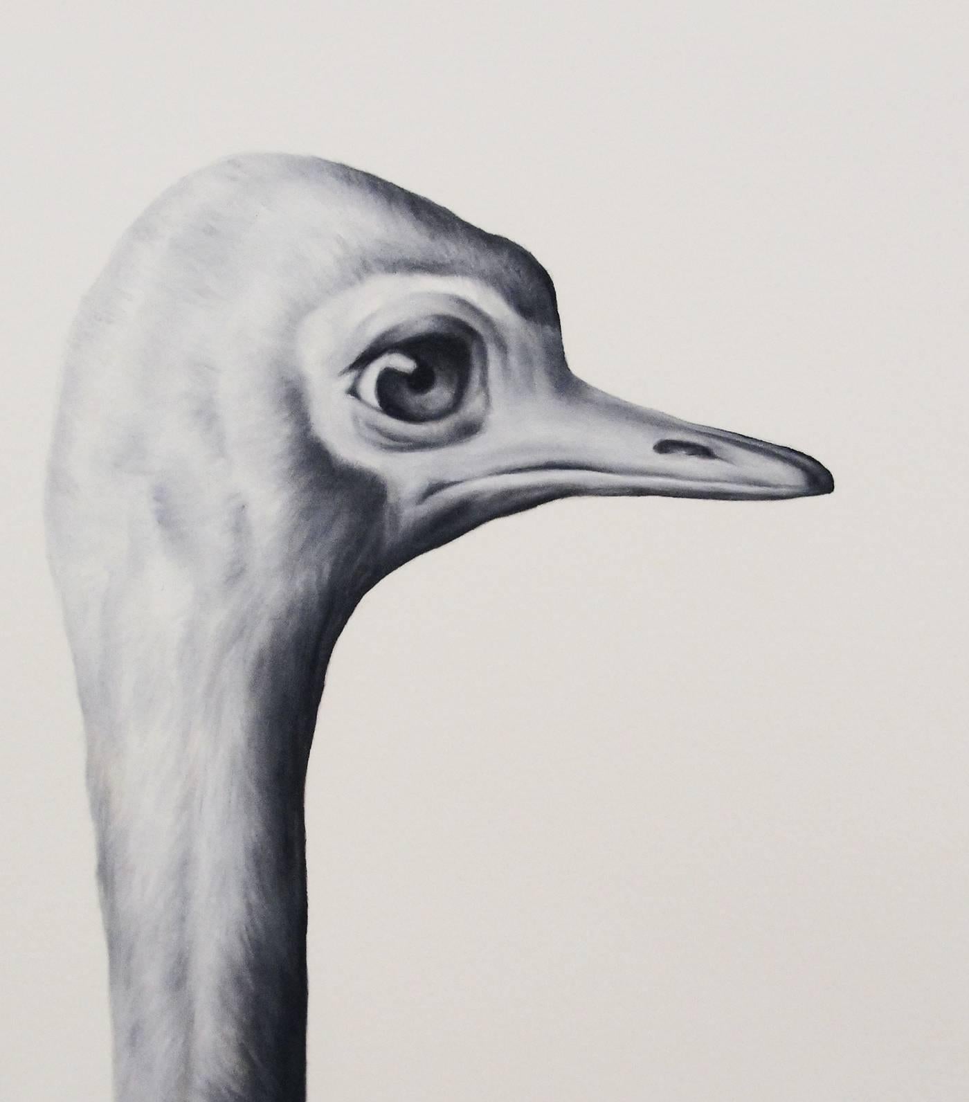 Shelley Reed Animal Painting - Ostrich (After Larousse)