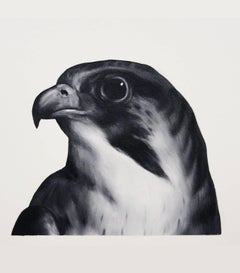 Falcon (After Landseer)