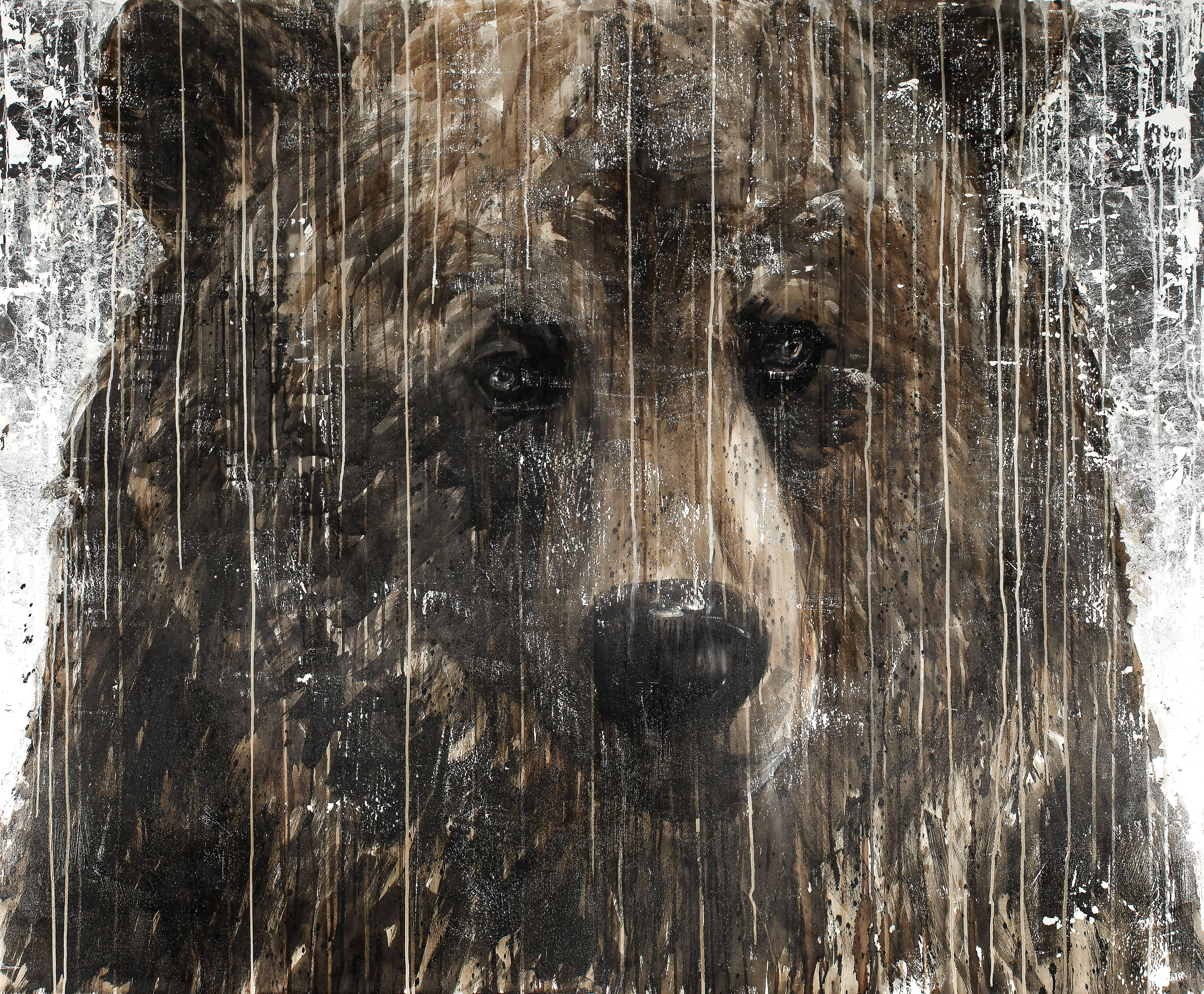 That Old Bear - Mixed Media Art by Matt Flint