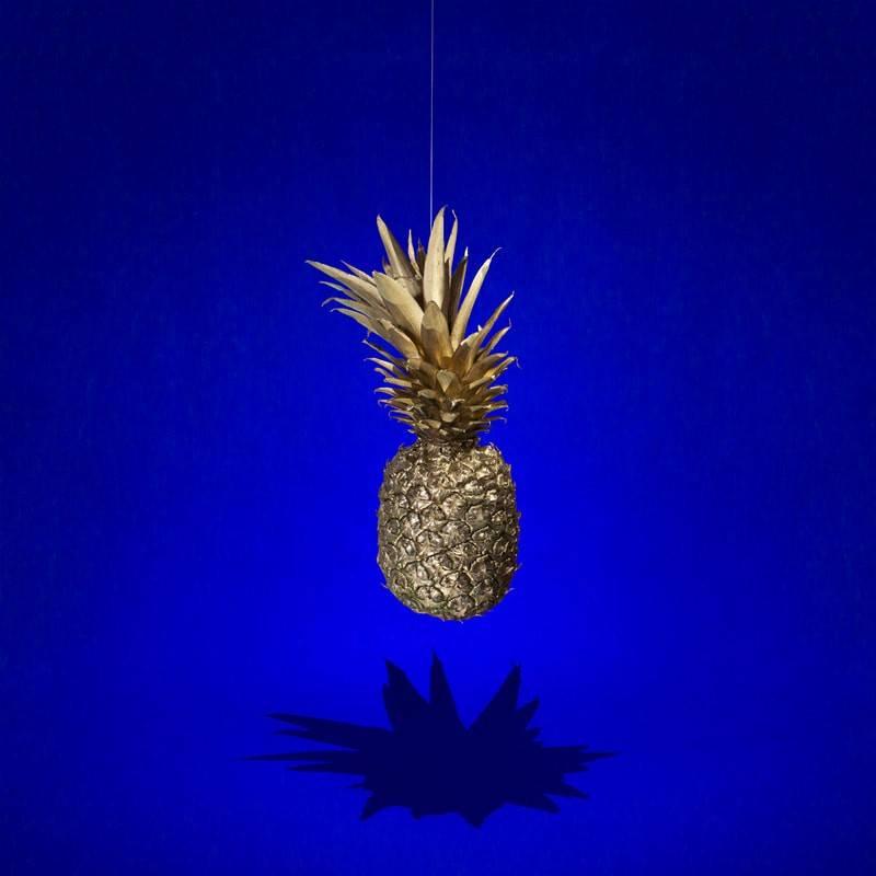 Reine Paradis Color Photograph - Pineapple #1