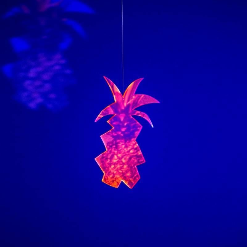 Reine Paradis Color Photograph - Pineapple #2