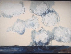 Landscape Cloud Dr 58