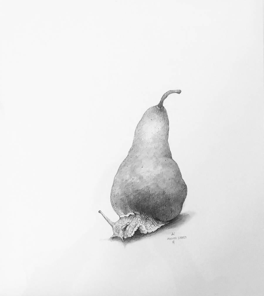 Adonna Khare Animal Art - Pear Snail