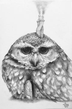 Welcome home Owl