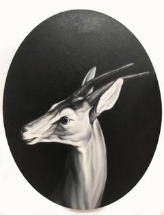 Antelope (Nach Ausflügen)