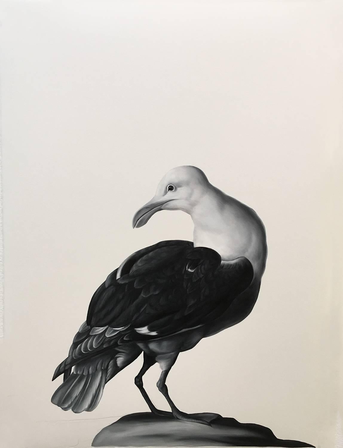 Shelley Reed Animal Painting - Gull (after Bogdani)