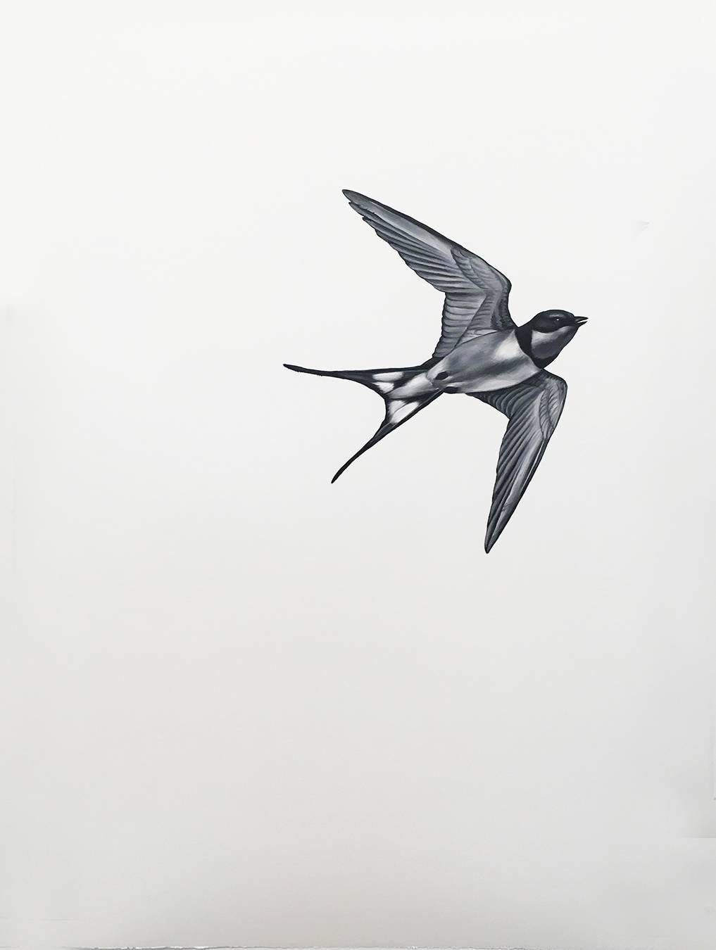 Shelley Reed Animal Painting - Swallow