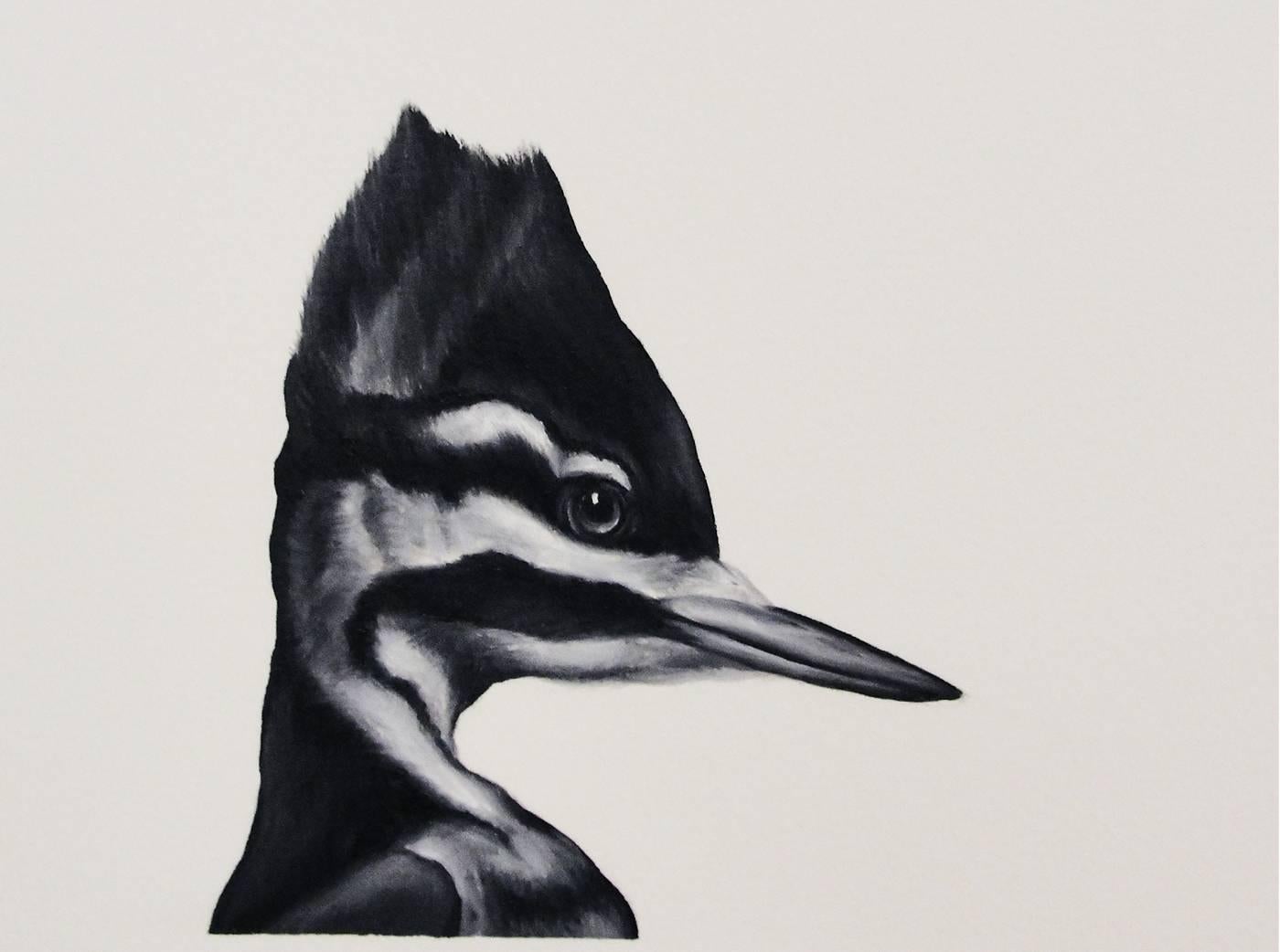 Shelley Reed Animal Painting - Ivory-Billed Woodpecker