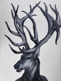 Majesty (Oil on paper of Buck)