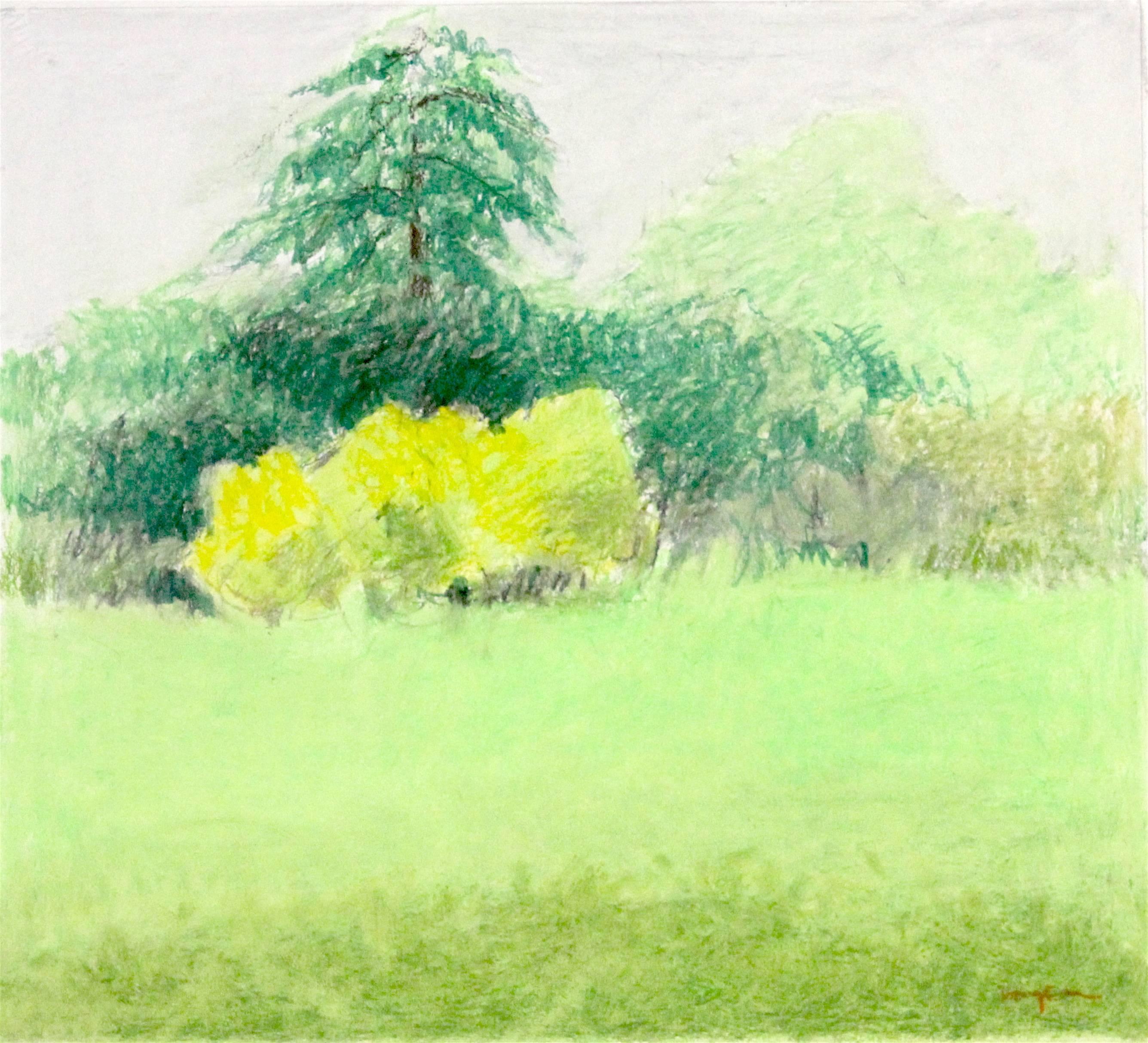 James Wilson Rayen Landscape Art - "Untitled Pastel #10", landscape, spring, summer, green, yellow, pastel drawing