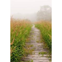 Walk This Way 11